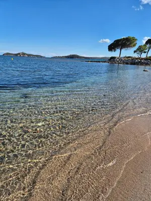 a sandy beach with trees in the water at Marina-Di-Pinarello Corse-du-Sud à 400m de la plage Pinarellu in Zonza