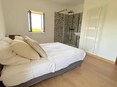 a bedroom with a bed with pillows and a shower at L'appartement Montenosa in Aléria