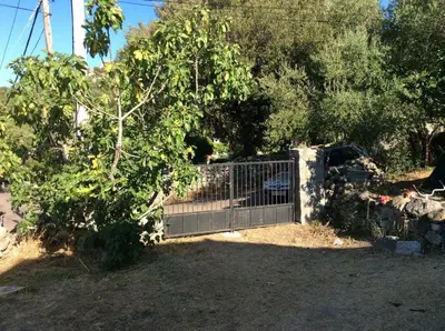 a gate in a yard with a tree at Casa di Purgu in Sotta