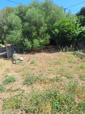 a field with grass and trees in the background at Casa di Purgu in Sotta