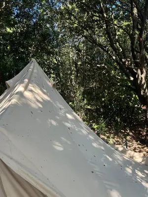 a white tent with trees in the background at Tente Lodge avec Vue sur la Baie d'Ajaccio in Ajaccio