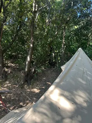 a metal ramp in a wooded area with trees at Tente Lodge avec Vue sur la Baie d'Ajaccio in Ajaccio