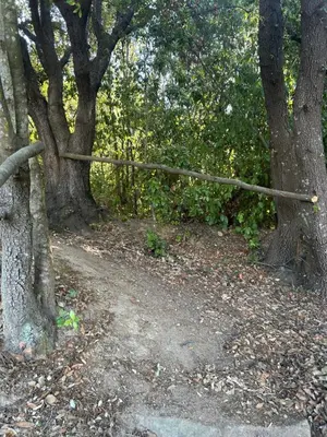 a wooden fence on a dirt road next to trees at Tente Lodge avec Vue sur la Baie d'Ajaccio in Ajaccio