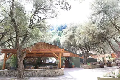 a wooden pavilion in a park with trees at Alivi Di A Restonica in Corte
