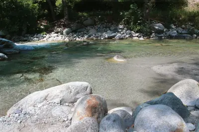 a river with some rocks in the water at Alivi Di A Restonica in Corte