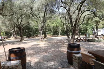 a park with a picnic table and some trees at Alivi Di A Restonica in Corte
