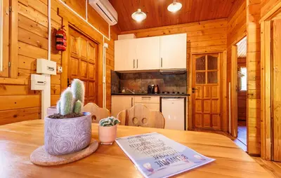 a kitchen with wooden walls and a table with a cactus at Alivi Di A Restonica in Corte