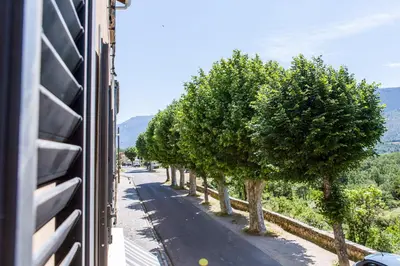 a row of trees on the side of a road at A Sant'Anna in Albertacce