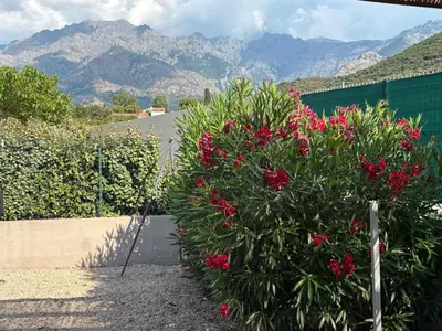 a bush with red flowers in front of a building at villa Morgane in Calenzana