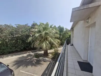 a palm tree in a parking lot next to a building at Casa Verde Poggio Mezzana in Poggio-Mezzana
