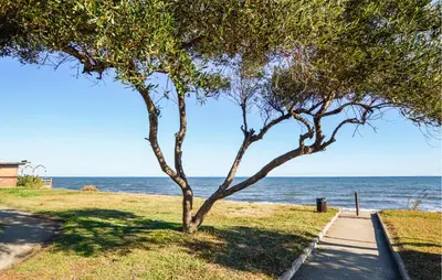 a tree on the side of a sidewalk next to the ocean at 2 Bedroom Gorgeous Home In Prunete in Prunete
