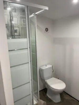 a bathroom with a toilet and a glass shower stall at Studio Ajaccio Centre in Ajaccio