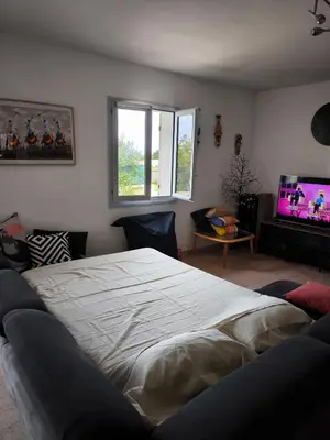 a bedroom with a large bed and a tv at Sud Bastia 50 m2 privé avec jacuzzi et piscine in Monte