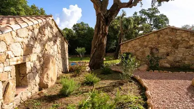 a stone building with a tree in front of it at Domaine de Gialla Bergerie I Pini, 6 pers, piscine chauffée, 10 mn plage in Arraggio