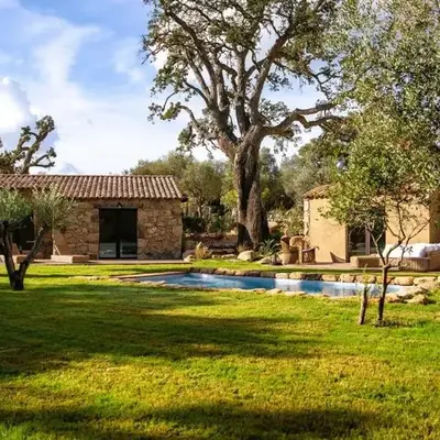 Domaine de Gialla Bergerie I Pini