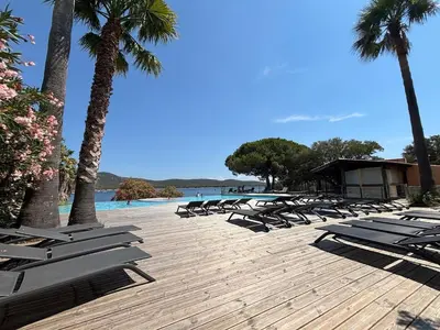 a row of lounge chairs and palm trees on a beach at Superbe T2 les pieds dans l'eau in Pianottoli-Caldarello