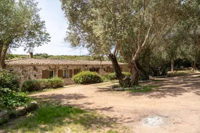 an old stone house with trees in front of it at La bergerie 1 in Bonifacio