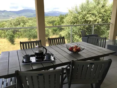 a wooden table with a bowl of fruit on it at Locations I Carboni - villa 3 chambres in Sollacaro