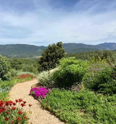 a path through a garden with flowers and bushes at Locations I Carboni - villa 3 chambres in Sollacaro