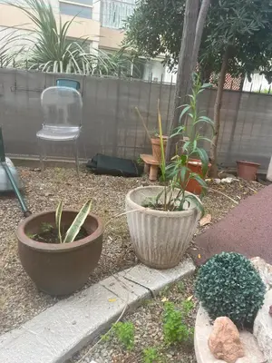 a garden with two pots of plants and a chair at Sacré cœur in Ajaccio