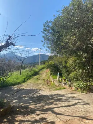 a dirt road with trees and mountains in the background at Appartement T2 Alistro San Giuliano Corse in San-Giuliano
