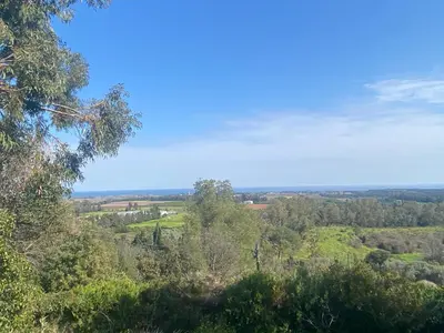 a view from the top of a hill with trees at Appartement T2 Alistro San Giuliano Corse in San-Giuliano