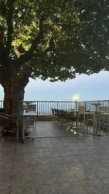 a group of tables and chairs under a tree at Gîte U Saltu in Solaro
