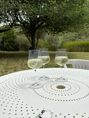 three glasses of white wine sitting on a table at Appartement rez de jardin - Casa San Cesaru in Bains de Guitera