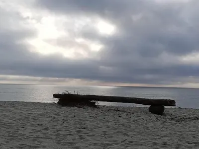 a wooden bench sitting on a beach near the water at Le Rêve de Mer in Ghisonaccia