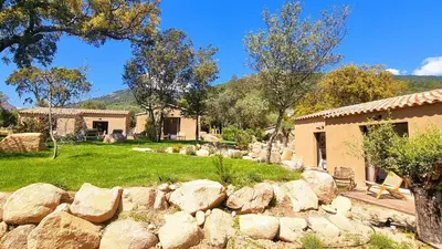 a stone wall in front of a house with a yard at Domaine de Gialla Bergerie Prugna, 6 pers, piscine chauffée, 10 mn plage in Arraggio