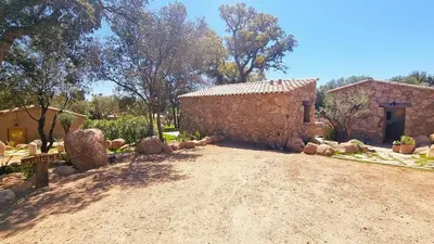 a small stone building in a yard with trees at Domaine de Gialla Bergerie Prugna, 2 pers, piscine chauffée, 10 mn plage in Arraggio