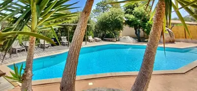 a swimming pool with chairs and a palm tree at Villa Cala Longa - Porto Vecchio in Sotta