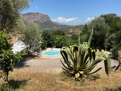 a succulent plant sitting next to a swimming pool at Chambre Studio chez l habitant in Alata