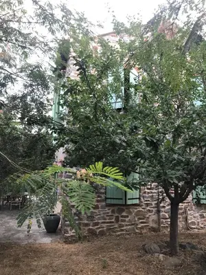 a stone building with a tree in front of it at To a Book House in Corsica - chambres d'hôtes in Oletta