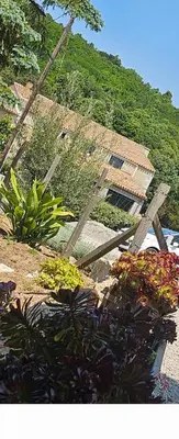 a garden with plants in front of a house at Maison Bois in Grosseto-Prugna