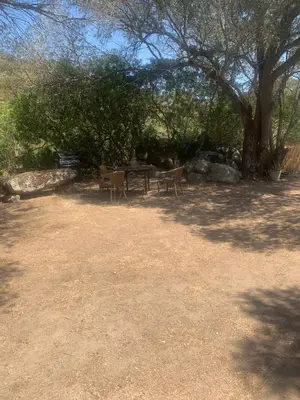 a picnic table and chairs under a tree at A Teghja in Figari