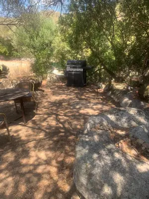 a picnic table and a grill next to some trees at A Teghja in Figari