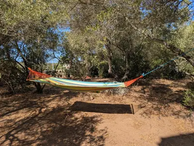 a hammock hanging from a tree in a field at Andemu Pianottoli Caldarello in Pianottoli-Caldarello