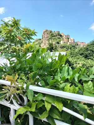 a bunch of green plants on a white fence at Bergerie Restaurée in Corte