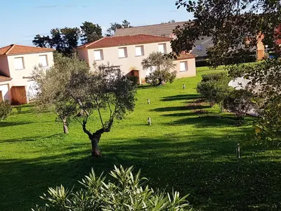 a tree in the middle of a yard with houses at Casa di u sole in Santa-Maria-Poggio