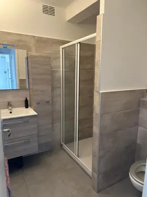 a bathroom with a shower and a sink and a toilet at Appartement F3 vue mer in Ajaccio
