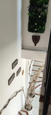 a staircase in a building with a plant on the wall at Casa Di l'alba in Borgo