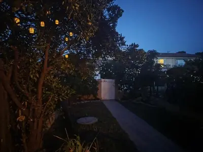 a tree in a yard at night at Casa Di l'alba in Borgo