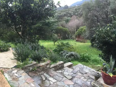 a garden with a stone path in a field at Agréable bas de villa in Furiani