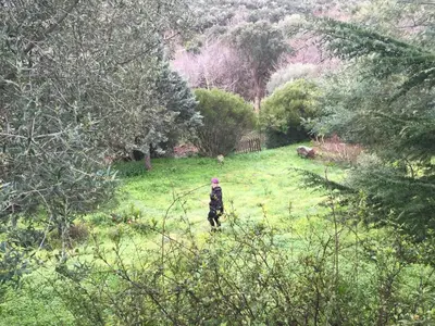 a person walking through a field with trees at Agréable bas de villa in Furiani