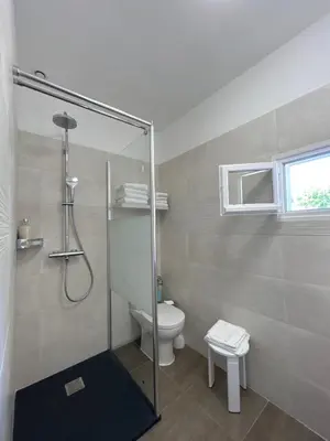 a bathroom with a shower and a toilet at Hôtel Punta e Mare des Chambres ou des Appartements T2 in Cargèse