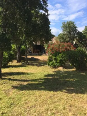a park with trees and grass with a building in the background at Villa Surleau in Zonza