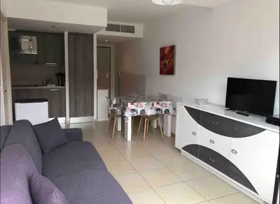 a living room with a couch and a table with a tv at propriano pieds dans l eau in Propriano