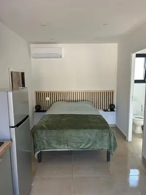 a bedroom with a bed with a green bedspread at Le cocon de Malo in Lecci