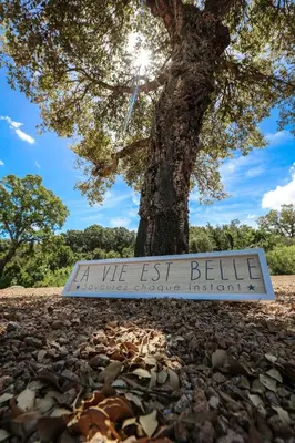 a tree with a sign that reads we best believe honorable croosing neighbors at Domaine LOADANA in Sainte-Lucie de Porto-Vecchio